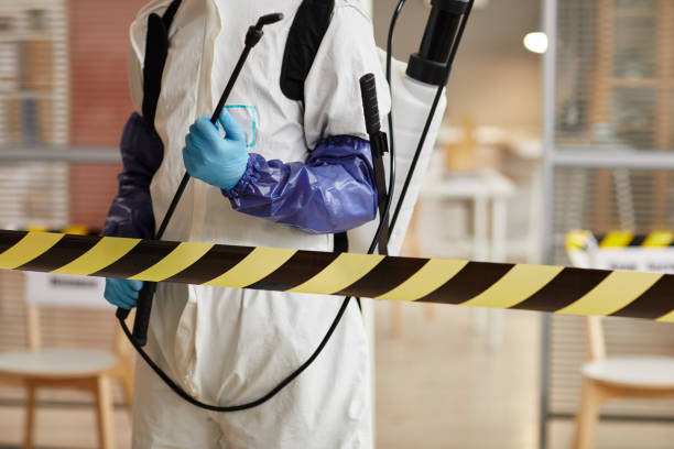 Professional Sewage Cleanup technician working in New Suffolk, NY